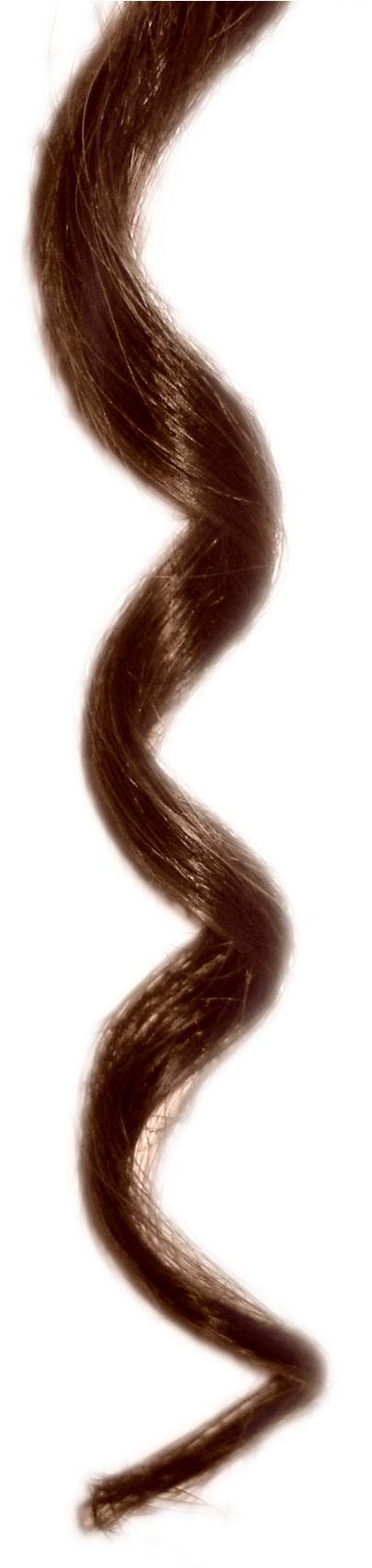 Hair Curl Png - Portable Network Graphics (440x1700), Png Download