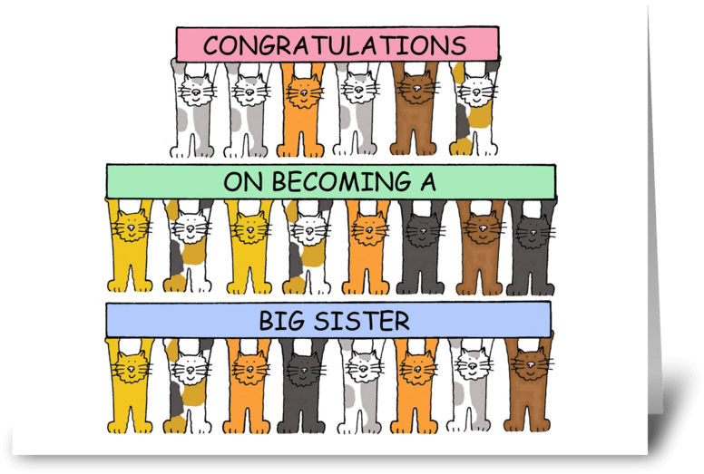 Congratulations On Becoming A Big Sister Greeting Card - Neighbour, Happy Birthday. Note Cards (848x698), Png Download