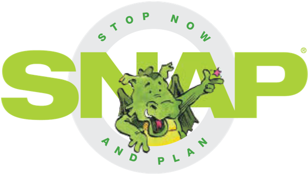 Snap Pptedit - Stop Now And Plan Logo (641x368), Png Download