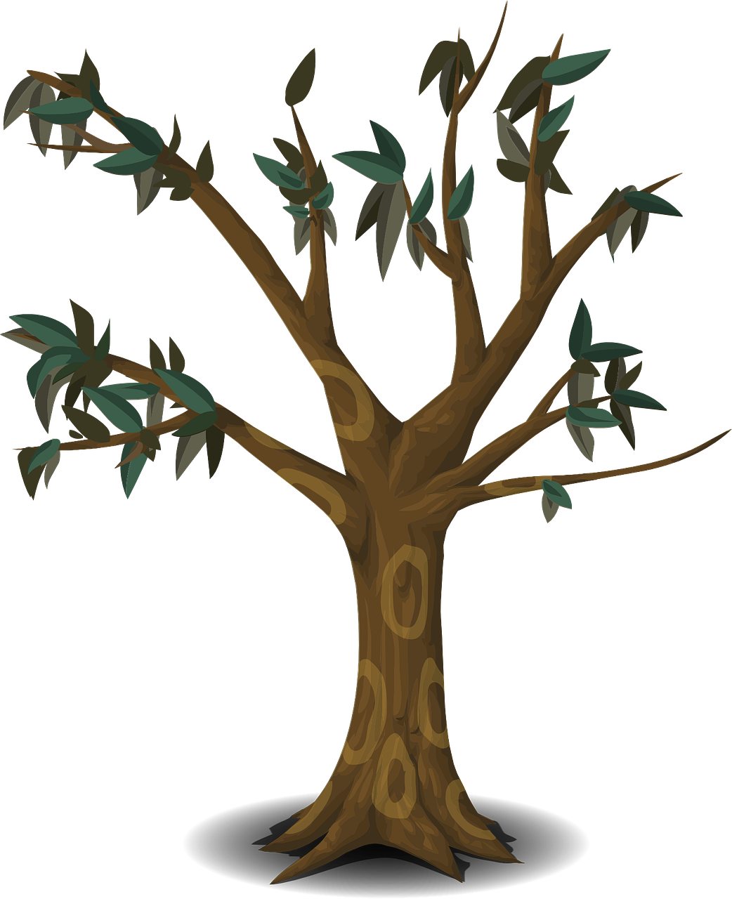 Forest, Tree, Branches, Leaves, Nature, Forest - Tree Branch Cartoon Png (1042x1280), Png Download