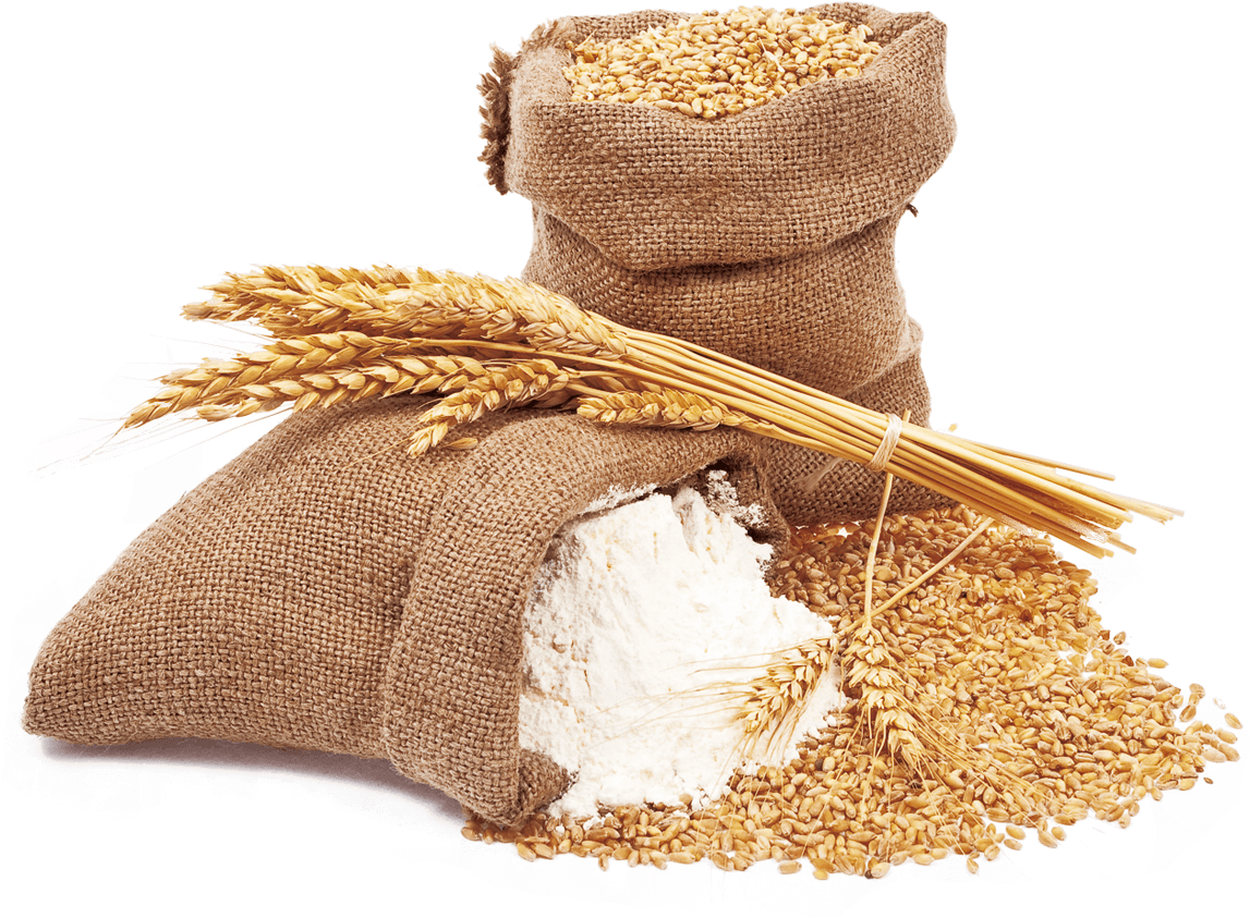 Wheat And Wheat Flour - Wheat Flour Png (1200x1000), Png Download