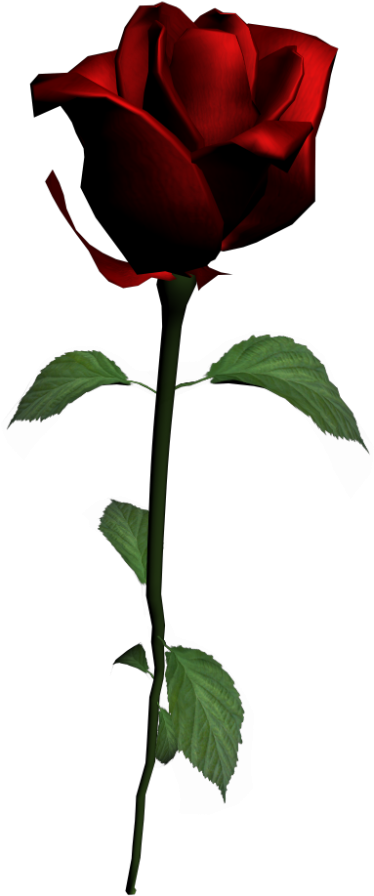 Rose - Floribunda (1000x1000), Png Download