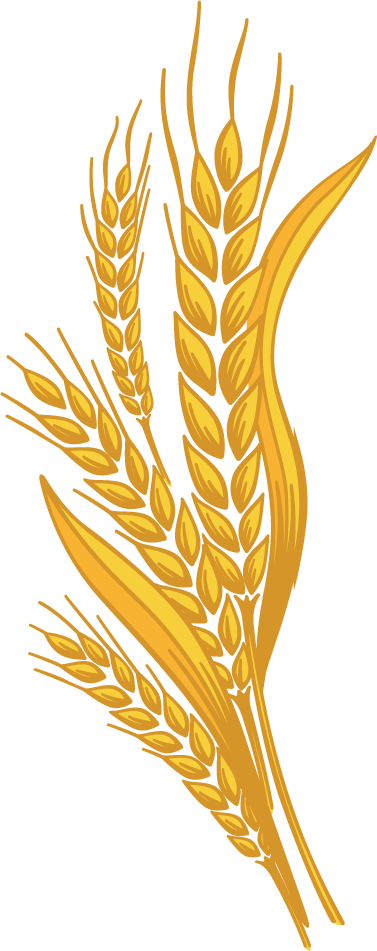 Stone Milled Wheat - Galhos De Trigo Png (377x951), Png Download