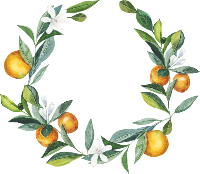 Фото, Автор ✿lili@ ✿ На Яндекс - Orange (800x695), Png Download