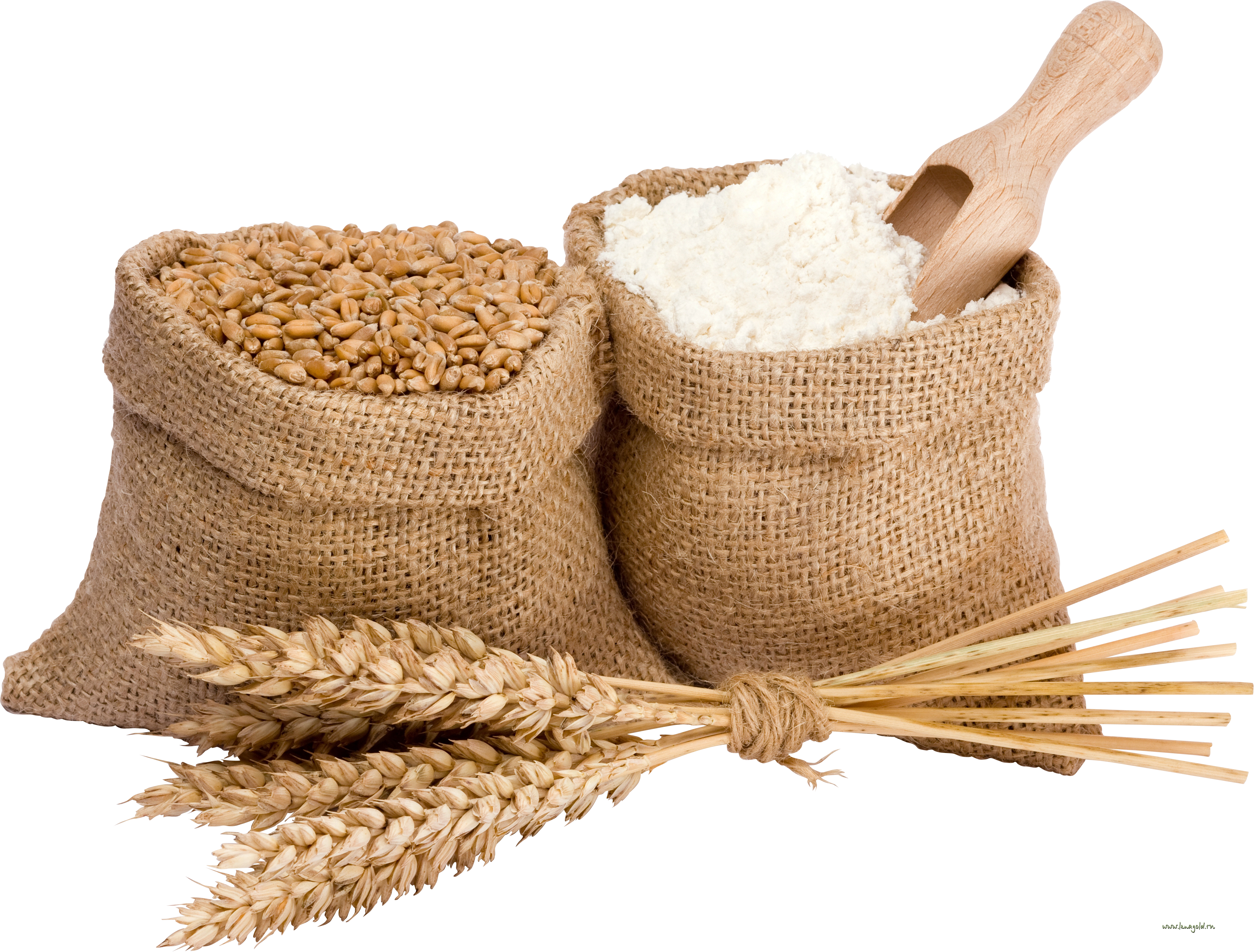 Wheat Png (5025x3815), Png Download