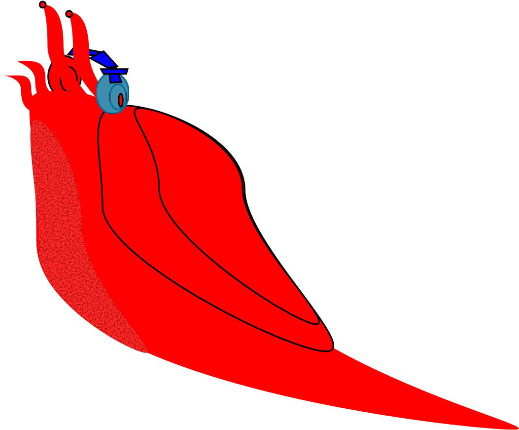 This Free Icons Png Design Of Slug Headphone (2400x3394), Png Download