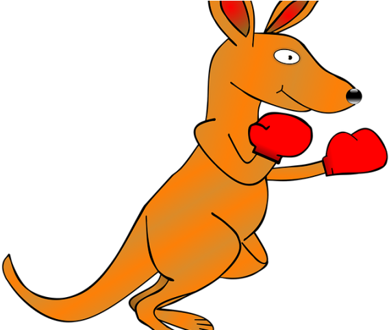 Kangaroo Png Transparent Images - Boxing Kangaroo Animated Clipart (640x480), Png Download