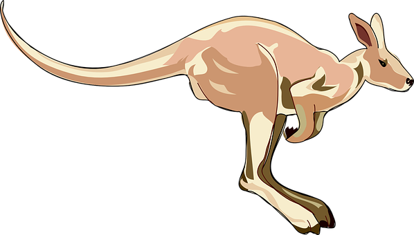 Kangaroo Mammal Marsupial Hopping Animal A - Kangaroo Clip Art (598x340), Png Download