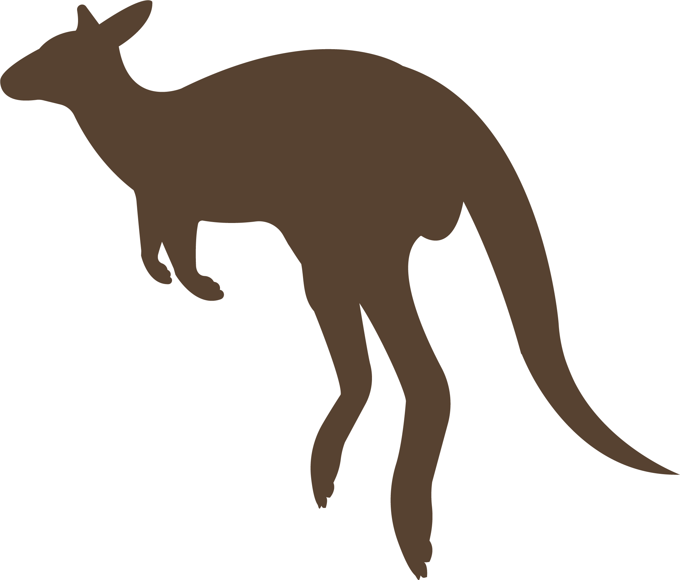 Sour Kangaroo Chasing The Whos Audition - Kangaroo Zoo (2170x1852), Png Download
