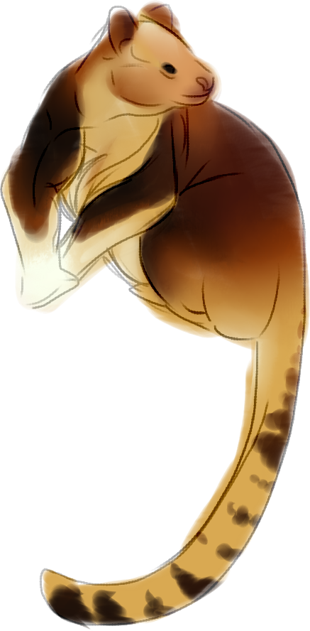 [p] Tree Kangaroo - Tree-kangaroo (437x888), Png Download