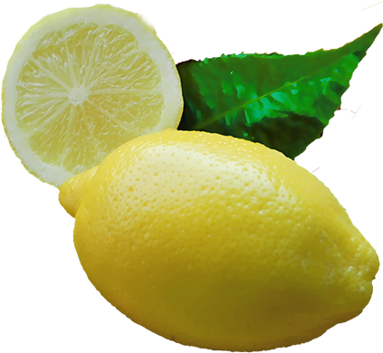 Lemon Juice Freezes Well, As Do Peeled And Sectioned - Lemon Juice Lemon (555x504), Png Download