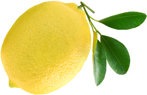 Other Fresh Scents Lemon - Vivere A Lungo Con L'aiuto Degli Agrumi - Haineault (500x500), Png Download