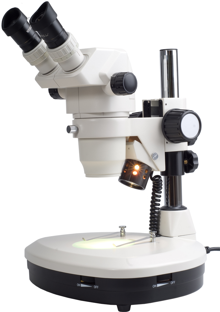 Microscope - Stereo Microscope No Background (1000x1000), Png Download