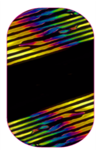 Over The Rainbow - Skateboard Deck (550x550), Png Download