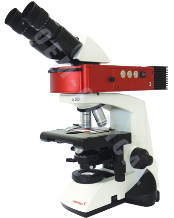 Labomed Fluorescence Microscope (360x458), Png Download