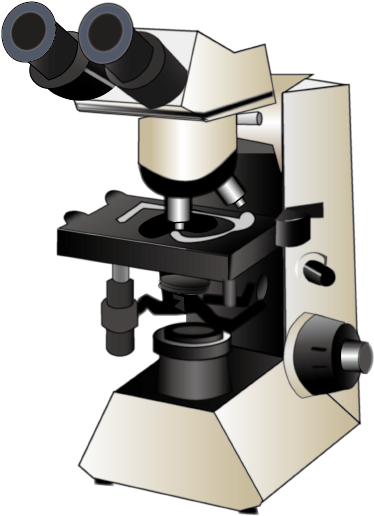 201603 Upright Microscope - Mictoscope Png (405x582), Png Download