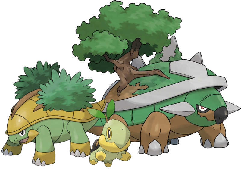 Chat Image - Turtwig Grotle And Torterra (800x561), Png Download