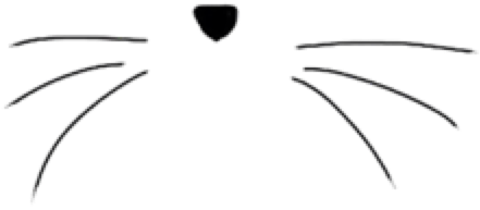 Transparent Black Cat - Transparent Cat Whiskers (500x482), Png Download
