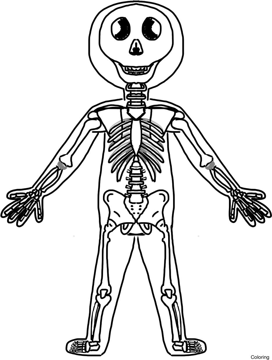 Skeletal Drawing At Getdrawings - Skeletal System Paper Doll (936x1248), Png Download