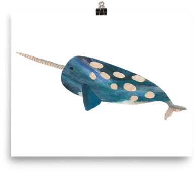 Narwhal (600x600), Png Download