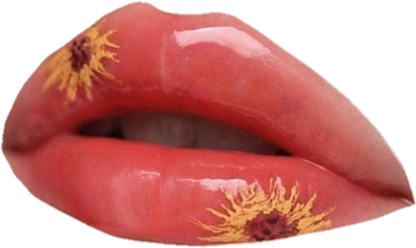 Cosmetics (554x328), Png Download