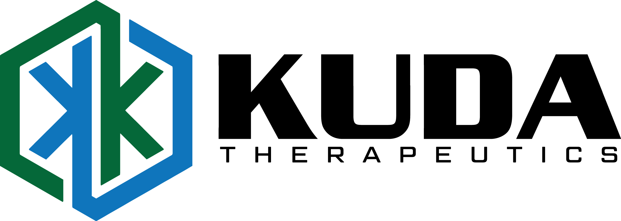 Kuda Therapeutics - Ak Initial (2438x871), Png Download