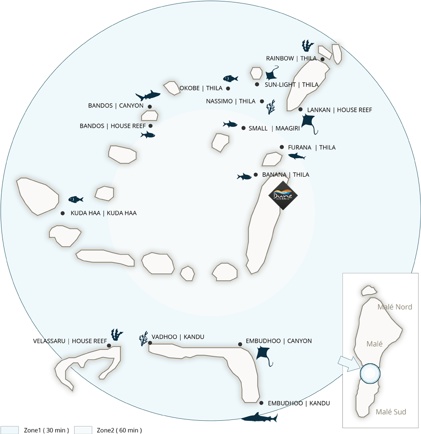 Diving - Maldives (912x910), Png Download