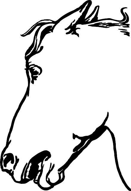 Mammal Animal, Head, Horse, Mammal - Gambar Sketsa Kepala Kuda (440x640), Png Download