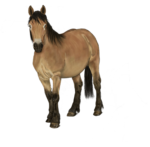Horse (640x627), Png Download