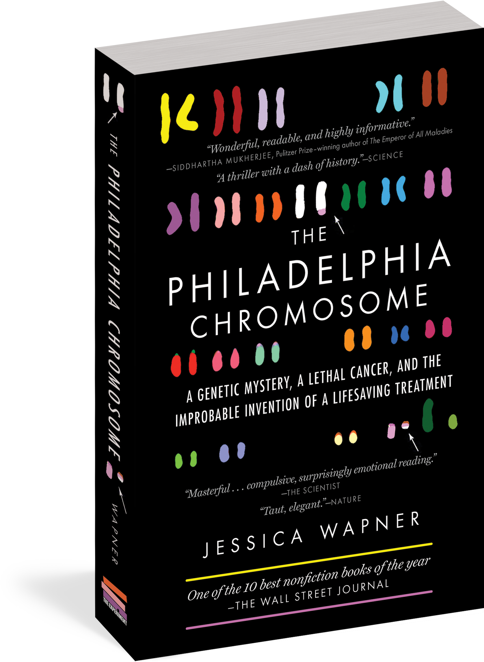 The Philadelphia Chromosome - Philadelphia Chromosome: A Genetic Mystery, A Lethal (1800x2400), Png Download