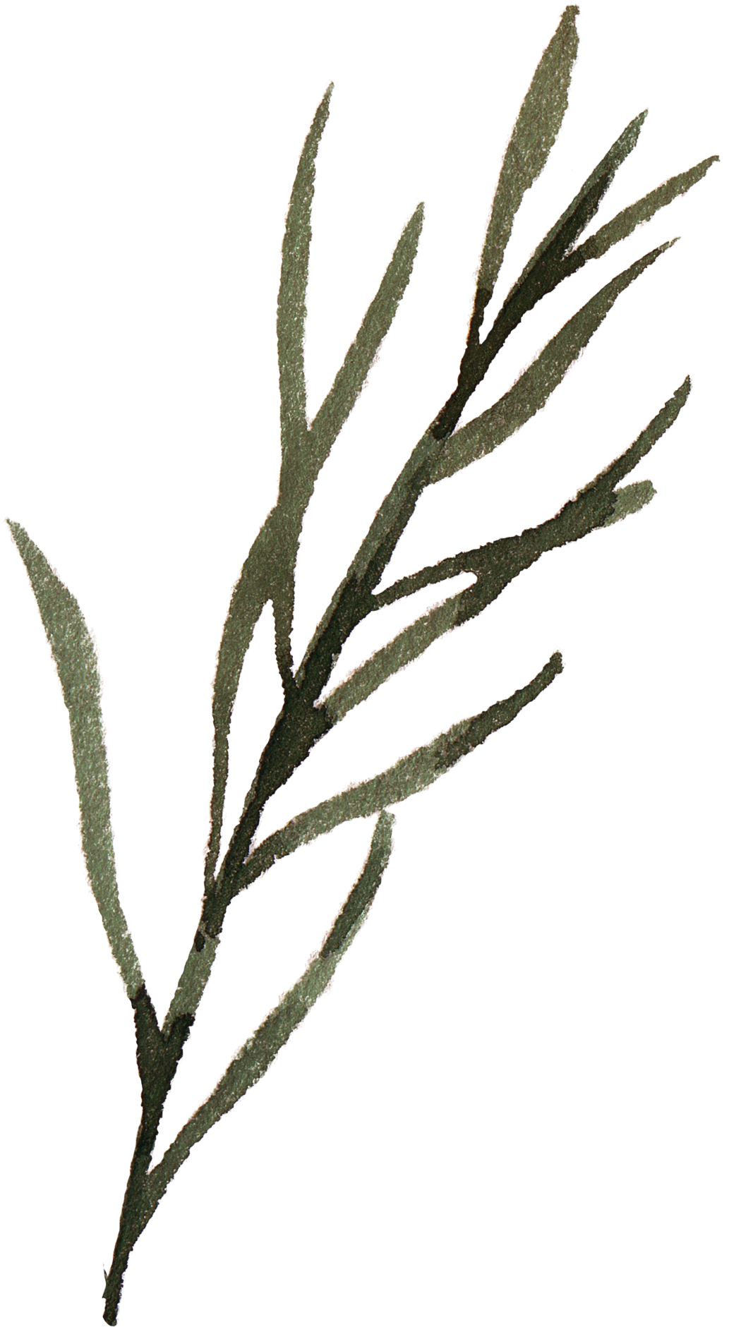 Watercolour - Watercolor Painting (1095x1925), Png Download