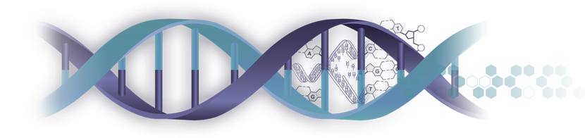 Acecgt Diagnostic Offers A Full Range Of Molecular - Architecture (841x196), Png Download
