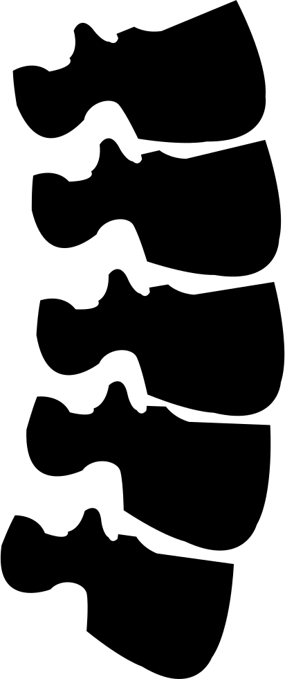 Png File - Spine Icon Transparent Background (412x980), Png Download