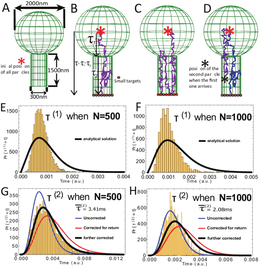 A B C D - Geometry (850x875), Png Download
