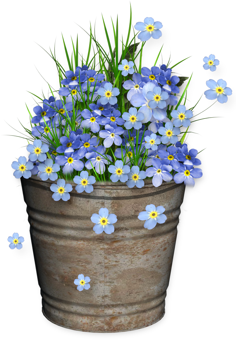 Cheyokota Digital Scraps - Forget Me Not Logo Png (793x1152), Png Download