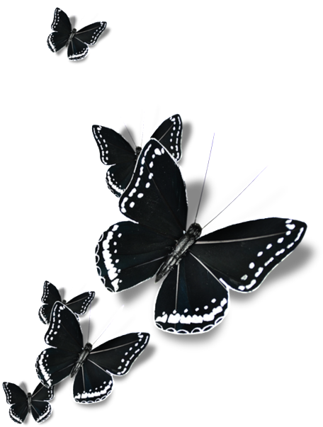 Black Winged Butterfly Cartoon Transparent - Touch Of Nature 1-piece Feather Butterfly (1024x1024), Png Download
