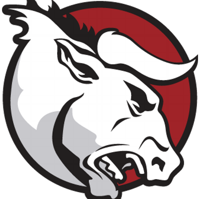 Florida Bulls - Bull Head Png (400x400), Png Download