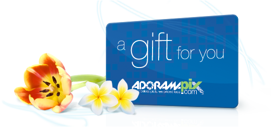 Give The Gift Of Memories - Adoramapix Gift Card (540x254), Png Download