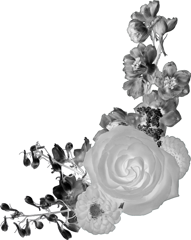 Imágenes Para Photoscape, Photoshop Y Gimp De Tribales, - Tatuajes Png Para Photoshop Mujer (637x800), Png Download