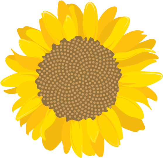 Girasol-cmyk - University Of Costa Rica (574x573), Png Download