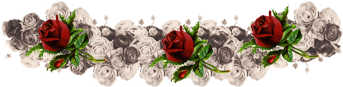 Coroa De Flores Png - Tiara De Flores Tumblr Png (500x500), Png Download