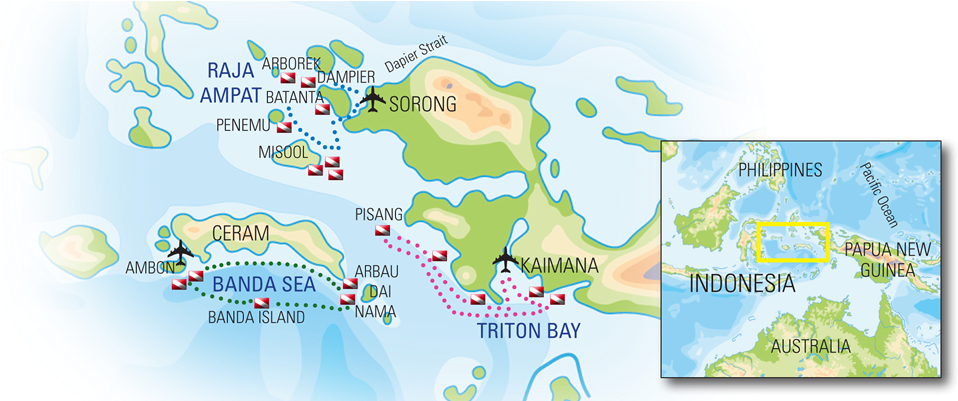 Raja Ampat Dive Sites - Melissa's Garden Raja Ampat (975x400), Png Download