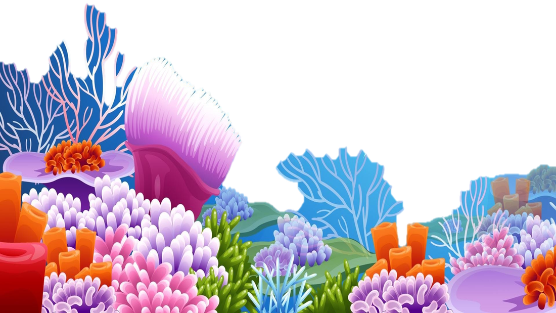 Wrap Up The Year With A Fun, Free, Family Event Friday, - Tulip (1100x619), Png Download