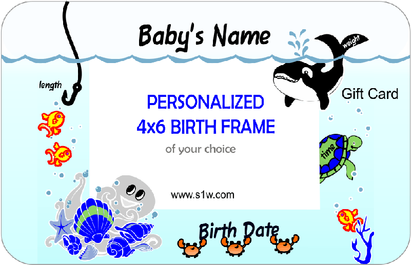 Under The Sea Whale Gift Card Presentation Package - Gift Card (800x800), Png Download