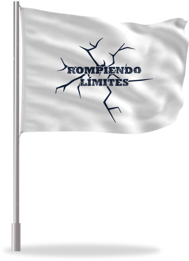 Venta De Banderas Y Banderines Prsonalizable - Flag (500x600), Png Download