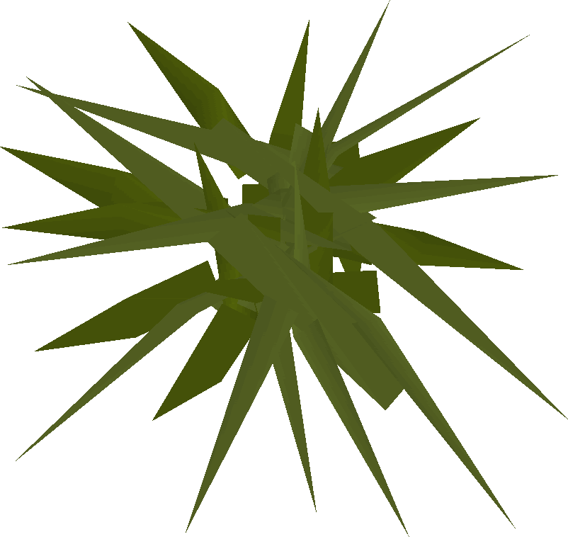 Weeds Detail - Illustration (802x758), Png Download