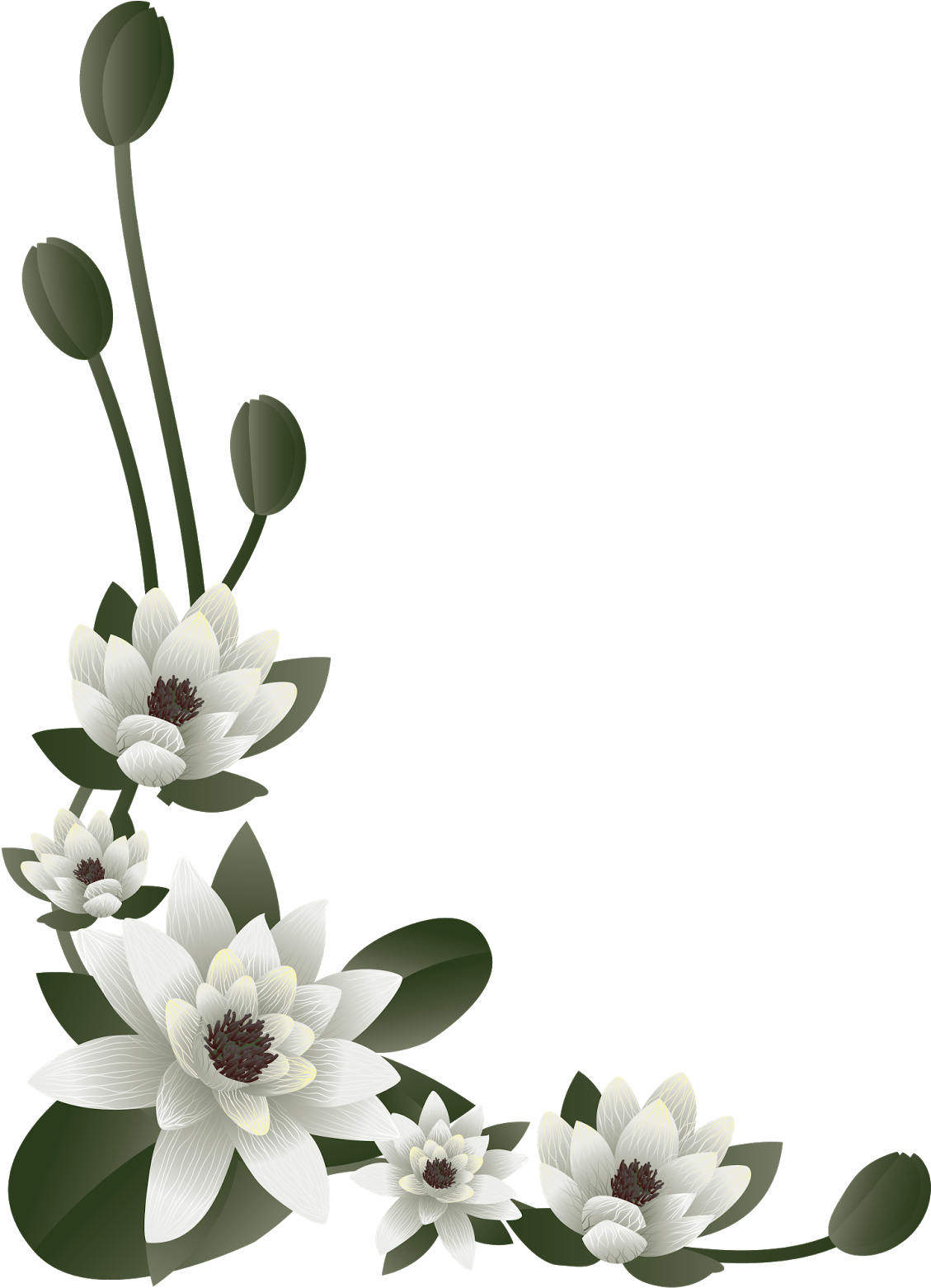 Floral, Cantos, Clipart, Png, Desenho, Transparente, - Flores Para Boda Png (1152x1600), Png Download