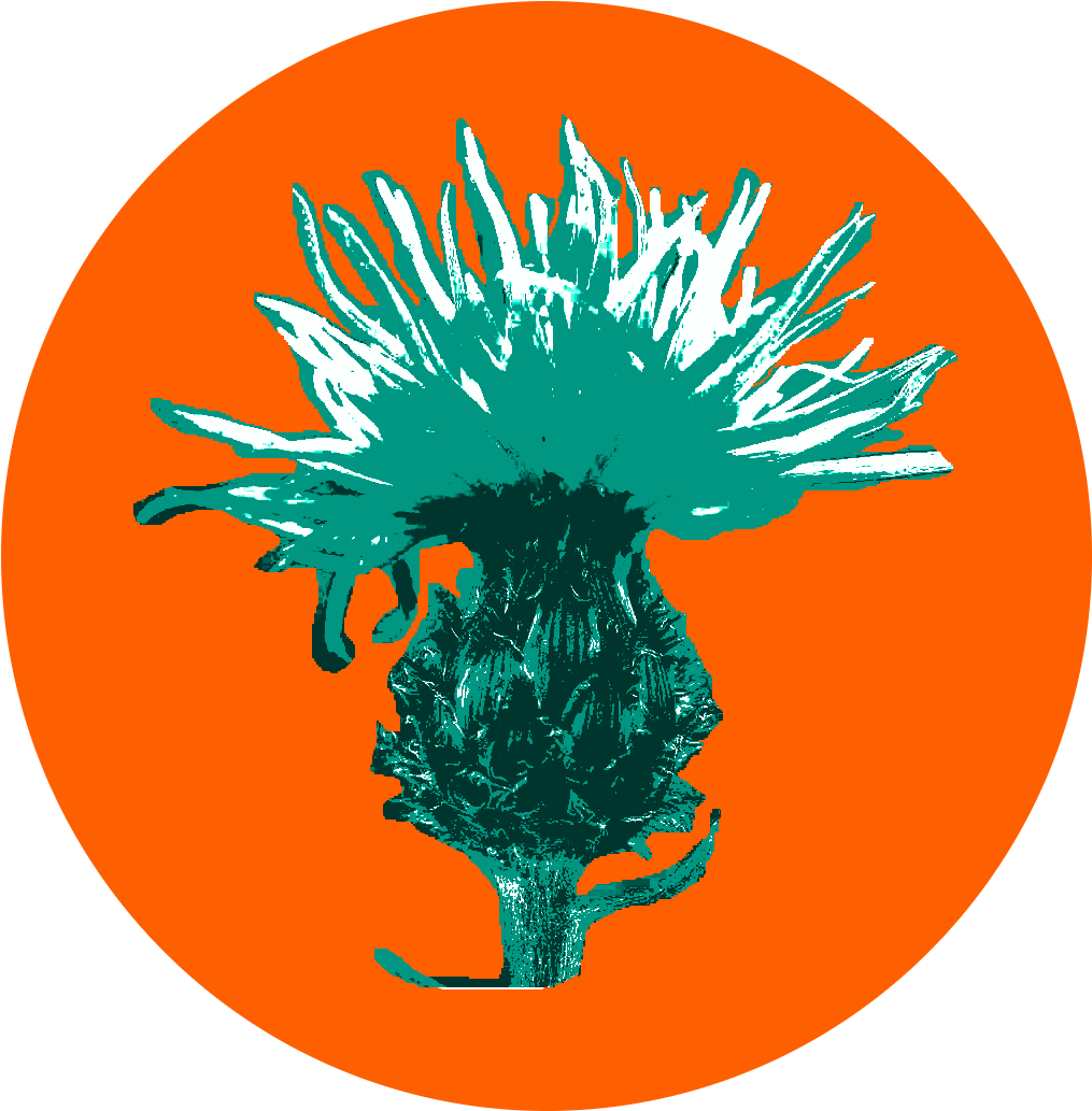 When Attempting To Eradicate Noxious Weeds, Best Efforts - New York City (1044x1044), Png Download