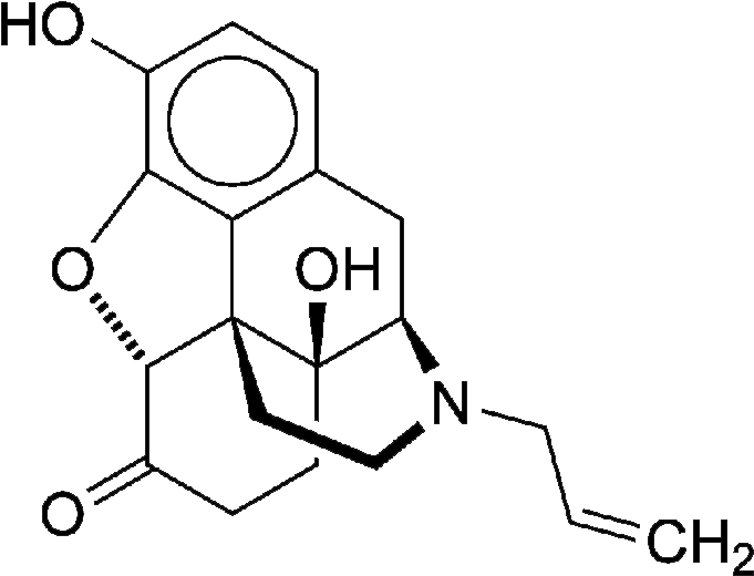 Naloxone - 2 Methyl 5 Nitrobenzoic Acid (700x538), Png Download