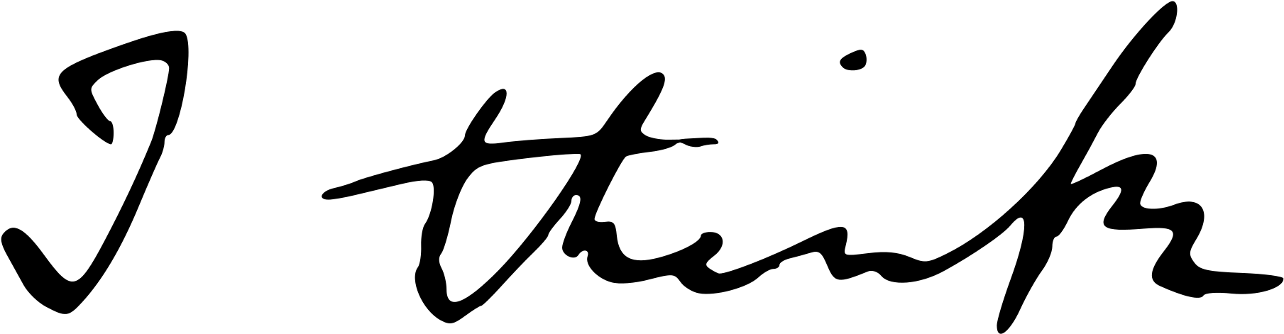 Open - Darwin I Think Tree (2000x664), Png Download